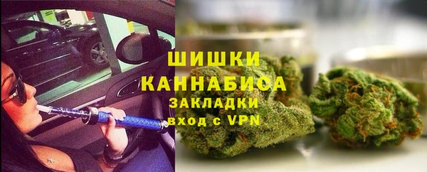 ПСИЛОЦИБИНОВЫЕ ГРИБЫ Богданович